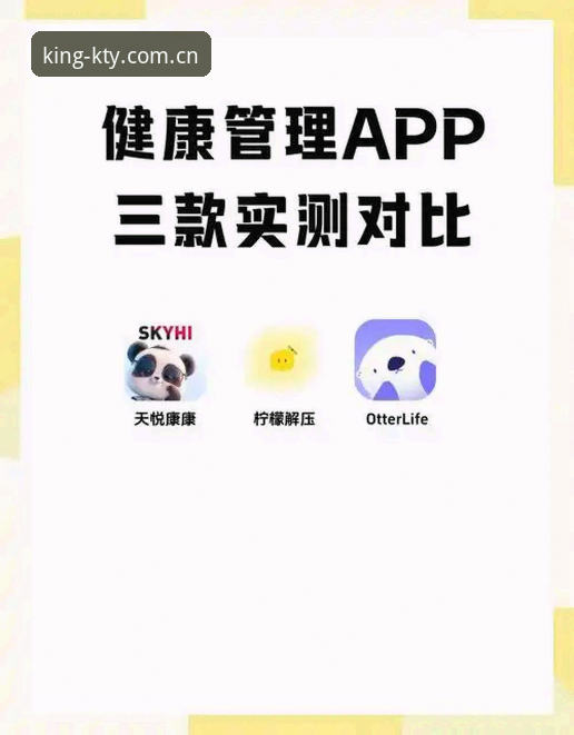 K体育APP安装最新动态：v2.0.5版本技术评测与实操指南